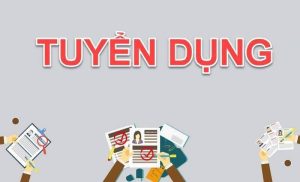 tuyển dụng kế toán