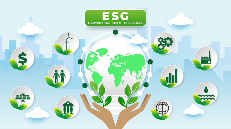 thực trạng thực hành ESG của doanh nghiệp Việt Nam (Ảnh minh họa)