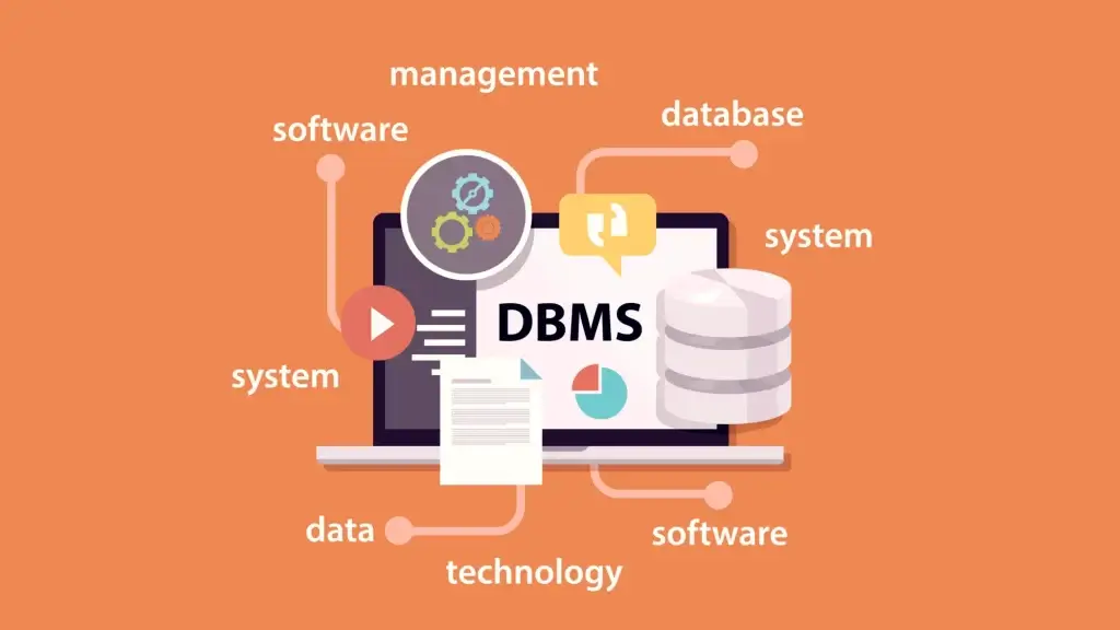 DBMS hoạt động như một ngân hàng dữ liệu cho DSS