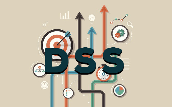 Mục đích chính của việc sử dụng DSS là trình bày thông tin cho khách hàng một cách dễ hiểu